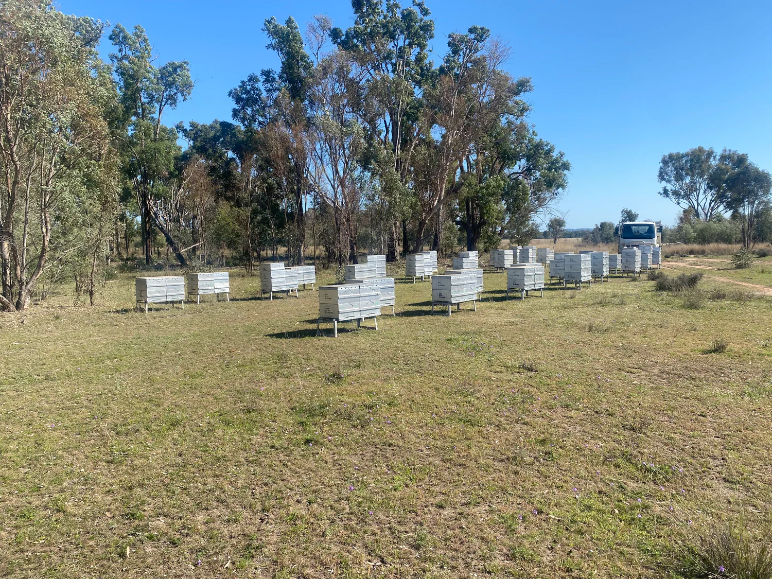 Welcome to Our Store